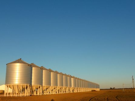 horizon-sky-farm-wheat-grain-sunlight-building-steel-rural-farming-agriculture-storage-farmer-silo-tank-1193116